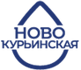 новокурьинская.png