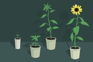 povishenie kvalifikacii dlya rukovoditeleyелей.png