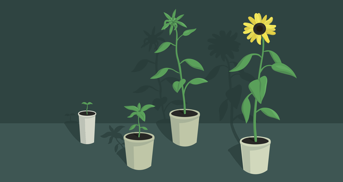 Повышение квалификации для руководителей: как выбрать программу в 2026 году