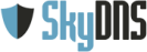 Скай днс.png