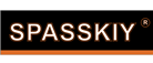 Спасский групп.png